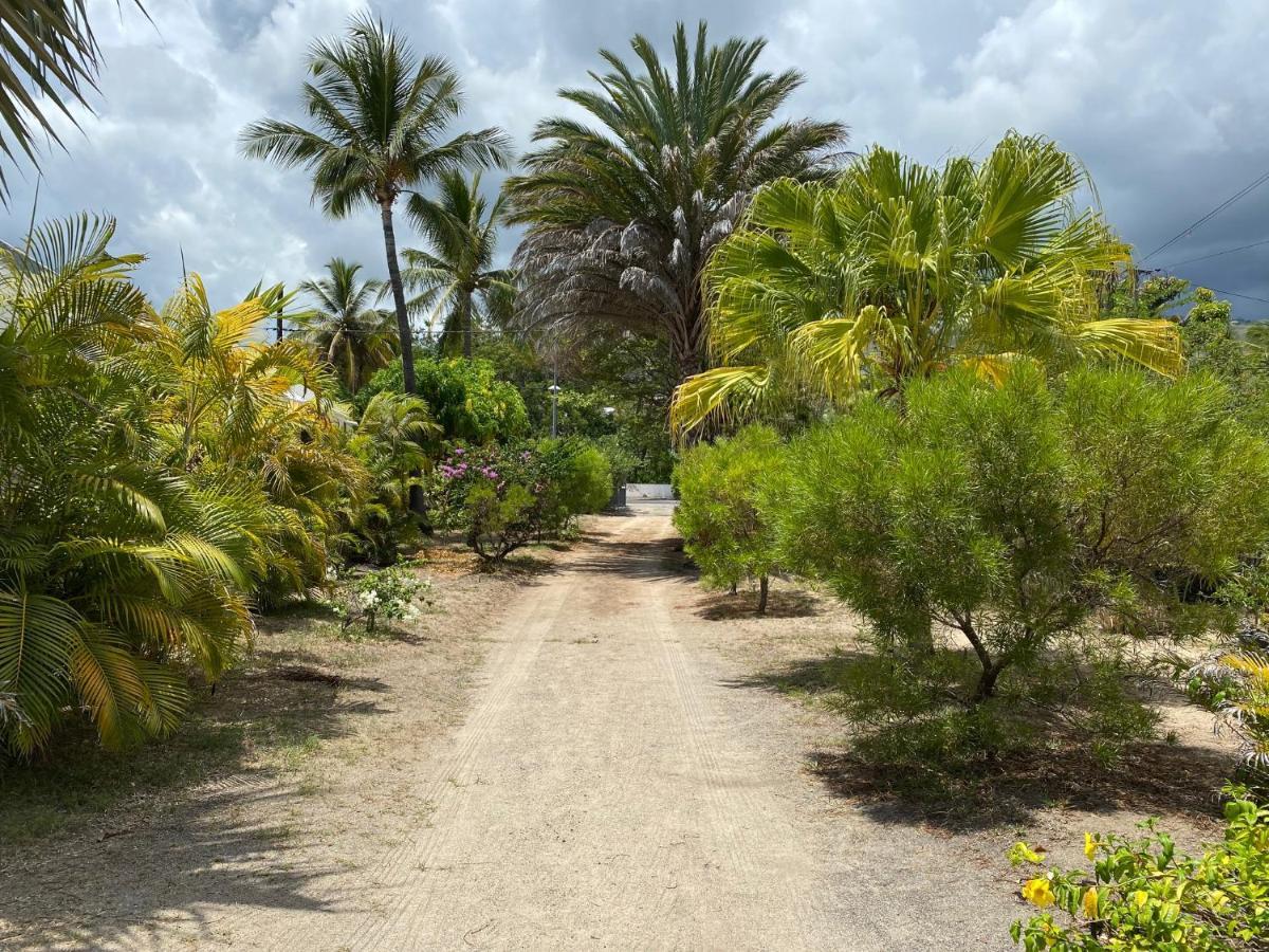 Villa & Bungalow 'Coco Des Sables' Les Pieds Dans L'Eau La Saline Le Bains Kültér fotó