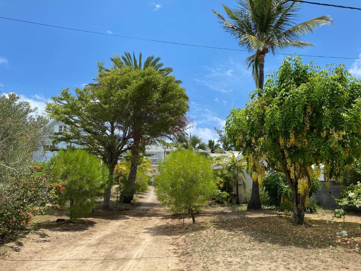 Villa & Bungalow 'Coco Des Sables' Les Pieds Dans L'Eau La Saline Le Bains Kültér fotó